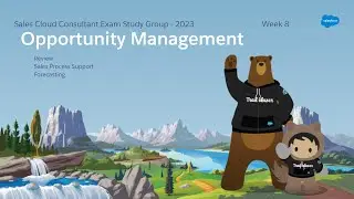 Sales Cloud Consultant Study Group 2023 - Week 6