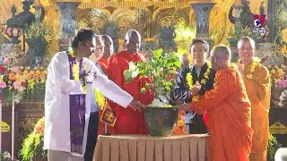 Sapling from world's longest-living Bodhi tree planted in Bai Dinh pagoda