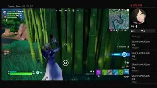 Fortnite with noblesruby13