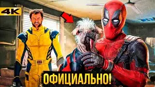 Дэдпул 3 - разбор анонса. Забастовка окончена - все даты выхода известны!
