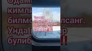 Мусофирда юрганлар борми? 