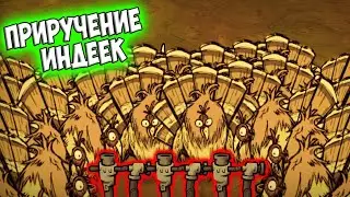 ФЕРМА ИНДЕЕК + ЗАЩИТА КУСТОВ - Dont Starve Together/ DST/ ДСТ ГАЙД