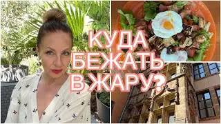 У НАС НЕПРИЯТНОСТЬ🐾КУДА СБЕЖАТЬ В ЖАРУ?🪭🏜️ЛЕТНИЙ САЛАТ