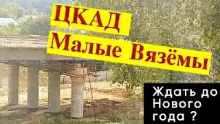 Ход строительства эстакады ЦКАД в обход Малых Вязём. На момент 18 сентября 2024 г.