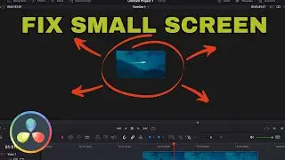 How to fix Small Screen in DaVinci Resolve 18 (2024)