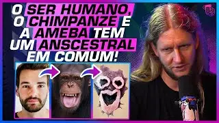 O QUE É VIDA e o QUE NÃO É? A VIDA de um VÍRUS, AMEBAS e MAIS - SACANI E ALBERTO LINDNER