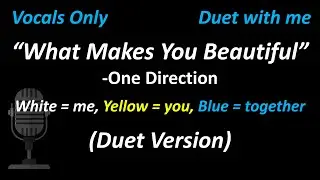 [Vocals Only] One Direction - What Makes You Beautiful (Duet Version) | Cover