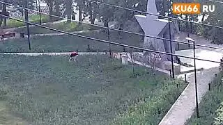 Сбор гербария у Звезды