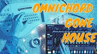 Omnichord + TR8 - House Jam