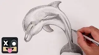 How To Draw a Dolphin | Sketch Tutorial for Beginners