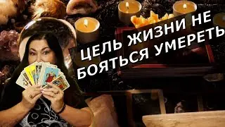 Для чего мы рождаемс тут | Что делать на том свете | Скорбь вредит | Призраки нас ревнуют