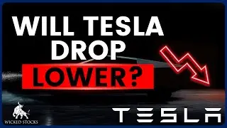 Tesla Stock Price Analysis | Top Levels To Watch for Friday, August 2nd 2024