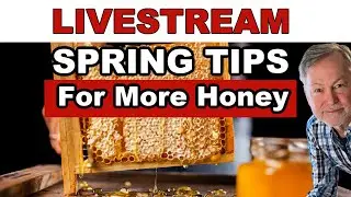 Beekeeping: Spring Tips For More Honey