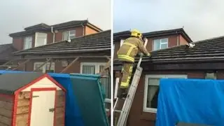 Flying rabbit rescued from roof after Storm Gertrude