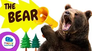 THE BEAR | Animals for Kids | Happy Learning 🧸🐼🐻‍❄️ #happylearning #bear #animals