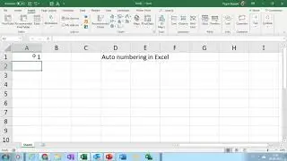 Excel Tip And Tricks -Auto Numbering