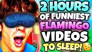 *2 HOURS* OF FLAMINGO TO FALL ASLEEP! (ROBLOX/MARATHON)