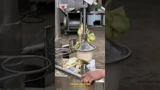 Amazing Automatic Tender Coconut Peeling and Cutting Machine