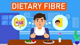 Dietary Fibre: The Most Important Nutrient? Best Fiber Foods?