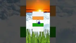 Happy Independence Day🧡🤍💚|#shorts #tiranga #coding #15august #webdevelopment #shortsfeed #ytshorts