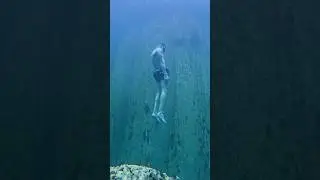 Freefall from the surface. Barracuda Lake, Coron Palawan, The Philippines 🇵🇭