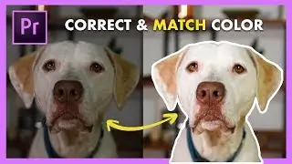 Color Match Different Camera Shots FAST! Adobe Premiere Pro CC Tutorial (New Feature!)
