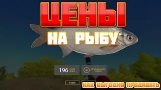 РУССКАЯ РЫБАЛКА 4 (рр4) /ЦЕНЫ НА РЫБУ/КАК ВЫГОДНО ПРОДАВАТЬ