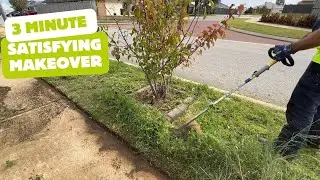 Satisfying Yard Clean Up in Under 3 Minutes!