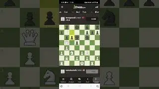 Checkmate or Rage Quit | Game 10