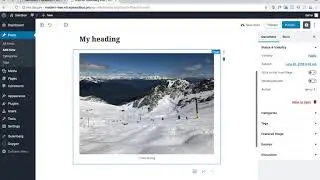 Using Oxygen With Gutenberg: It's Totally Compatible By Default