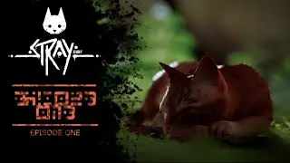 CAT-astrophe! | Stray - Part 1