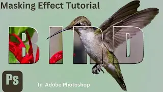 Typography text effect in adobe photoshop || Typography Poster Design || Masking Effect Tutorial