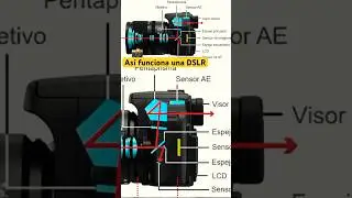 Así es como funciona una DSLR #camara #fotografia #nikon #Canon #sony