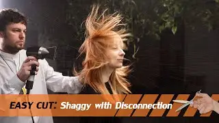 EASY CUT: Shag with Disconnection