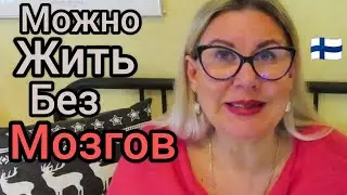 Слабонервных Прошу не Смотреть! Какой Ужас! Оказывается можно жить без мозгов. Блог из Финляндии