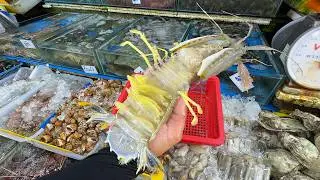 Live Seafood Market in Phuket Thailand