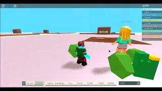 Roblox Decorations Farn