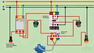 Phase Sequence Relay Wiring Diagram and Connection