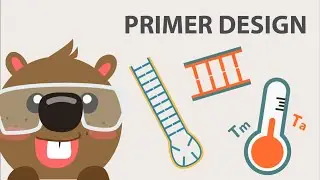 Primer Design: Important Considerations and Tips for Good Primer Design