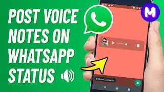 How to POST VOICE NOTE on WhatsApp Status - Audio on Status