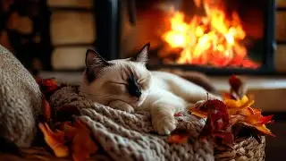 Purr Cat & Crackling Fireplace 🔥Autumn atmosphere for rest and sleep