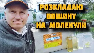 ✅Чесний тест вощини BEEWORLD