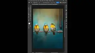 Adobe Photoshop 2024 Tips - How to use Pacth tool 