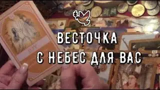 🕊️ Весточка с небес для вас 📃Какие Новости хотят передать о чем скажут Таро знаки судьбы #tarot