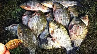 Ловит на 100% лучше других, снасть для рыбалки по холодной воде.