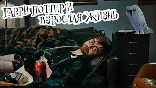 Гарри Поттер и взрослая жизнь (Переозвучка)