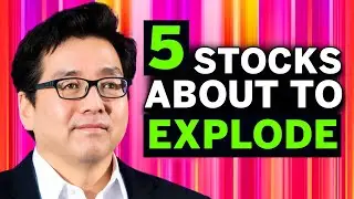 💥Tom Lee’s Best 5 Stocks to BUY NOW in August 2024 (High Growth Stocks) 🚀📈