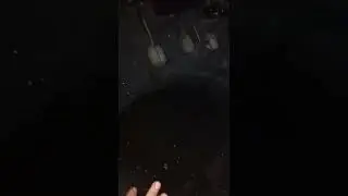 Ливень в Днепре