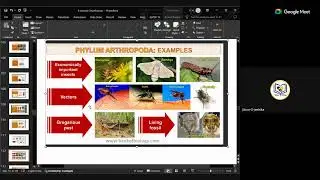 Foundational Biology For Class a IX & X - ANIMAL CLASSIFICATION-Madam Tista Mukhopadhyay