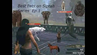 Best pet Conan Exiles : Isle of Siptah  ep.1 Canines